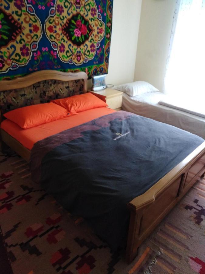 Casa Traditionala Subcetate Subcetate  外观 照片