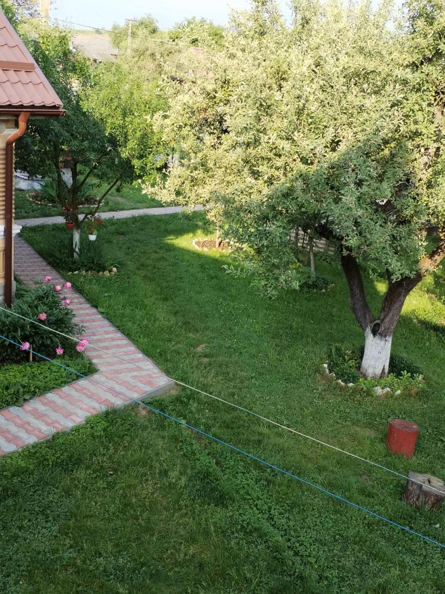 Casa Traditionala Subcetate Subcetate  外观 照片